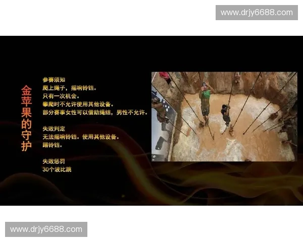 挑战极限突破自我全面解析障碍赛的设计与竞赛规则